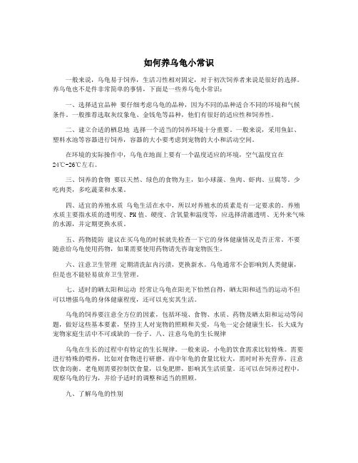 如何养乌龟小常识