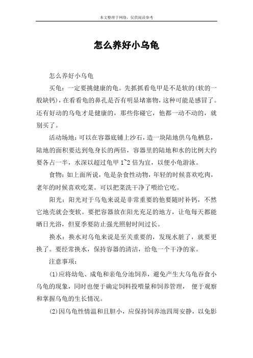 怎么养好小乌龟