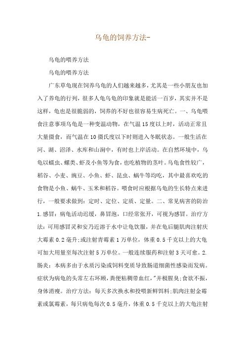 乌龟的饲养方法--乌龟的喂养方法