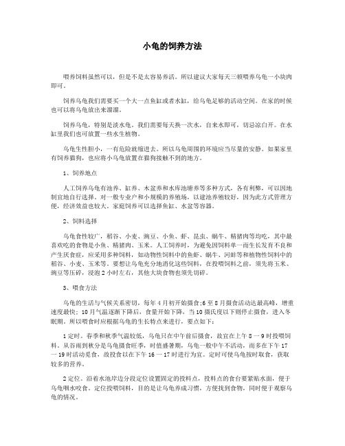 小龟的饲养方法