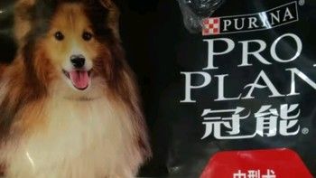 冠能狗粮中型犬成犬狗粮15kg 高消化吸收