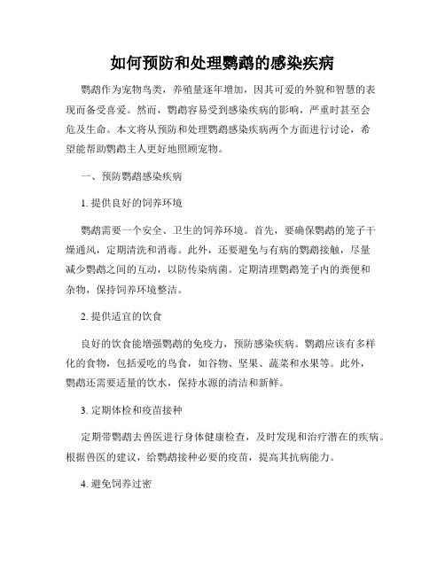 如何预防和处理鹦鹉的感染疾病