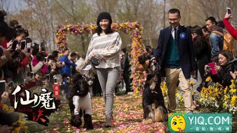 宠物也要办婚礼《仙魔决》宠物一样有爱