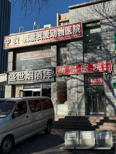 宠物美容小心得