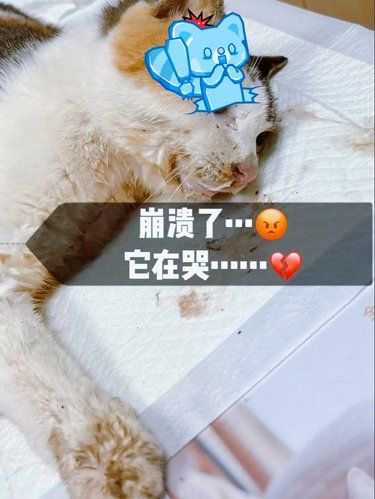 崩溃了❗️❗️真是万万没想到啊❗️❗️