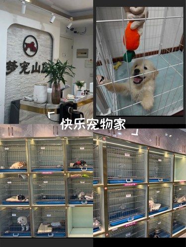 狗狗的品质超级棒～价格也不错，分享一下