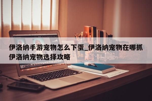 伊洛纳手游宠物怎么下蛋_伊洛纳宠物在哪抓伊洛纳宠物选择攻略-第1张图片