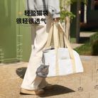 猫包便携外出宠物背包单肩手提包透气猫猫小狗外带包抱猫神器猫袋