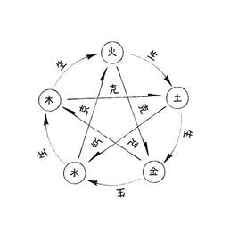五行缺金适合养什么宠物