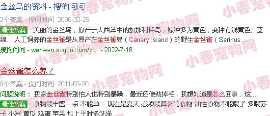金丝雀怎么养