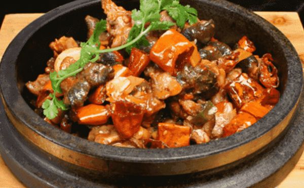 吃龟肉都有哪些好处？红烧龟肉怎么做？(1)