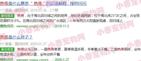 热带鱼好养吗怎么养