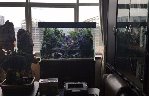 昆明生态水陆缸造景公司_生态装潢设计收费标准-山东卓匠景观设计有限公司