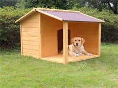 宁波宠物猫除臭剂 高效净化空气