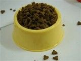 宁波幼犬狗粮 宁波宠物用品 关爱从这里开始