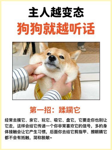 你对狗狗越变态，狗狗就越好管理！
