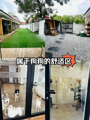 带狗狗去洗澡，发现一个宝藏地点！