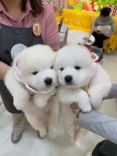 沈阳中街！！中街！！太太太可爱了 