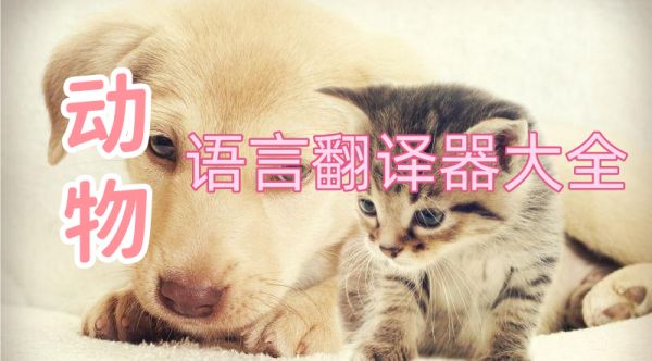 动物语言翻译器大全