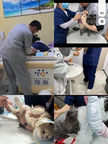 安心陪诊服务，我体验了