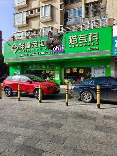 深圳真的有！！