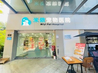 医术超赞 医心更美~