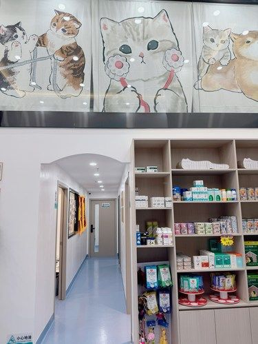 这里是深圳可以让我信赖的宠物医院