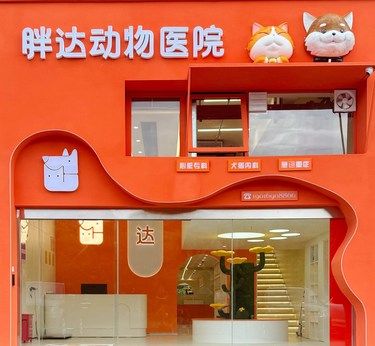 带宠物去医院，体验超棒！