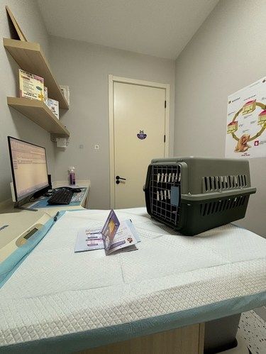 本心宠物医院｜城西银泰附近猫咪疫苗