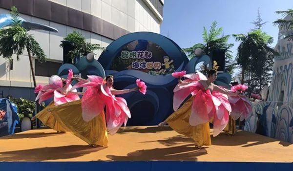 萌宠乐园，与你心爱的宠物共享欢乐时光