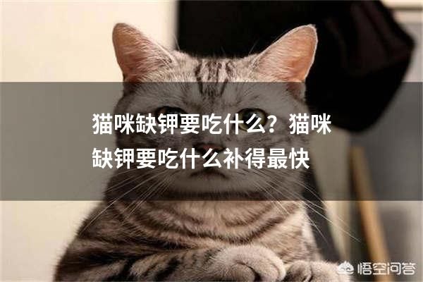 猫咪缺钾要吃什么？猫咪缺钾要吃什么补得最快