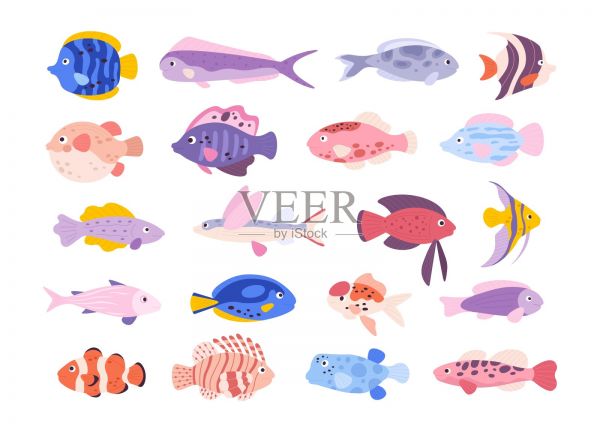 卡通可爱的热带海洋异国水族馆鱼类。金鱼，四角鱼，倒钩鱼，神仙鱼和狮子鱼。小淡水鱼宠物向量集插画图片素材