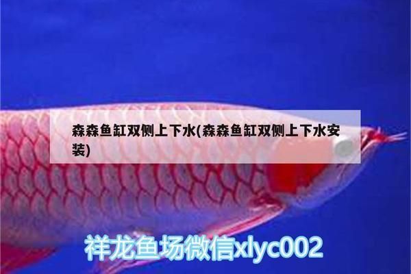 舟山市普陀沈家门蓝世界水族馆（舟山沈家门海洋生物园） 全国水族馆企业名录