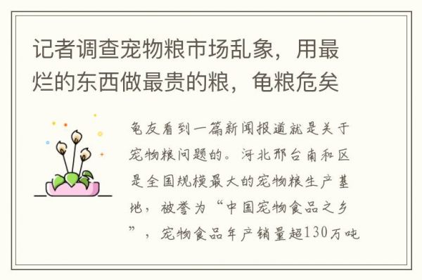 记者调查宠物粮市场乱象，用最烂的东西做最贵的粮，龟粮危矣