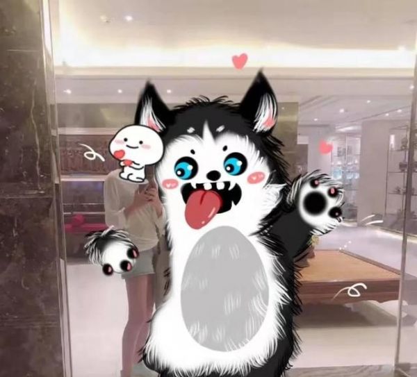 猪咪小屋主题咋用,能否推荐可爱的图片？卡通，小孩，动物都可以