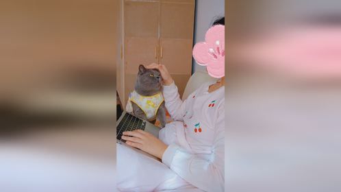 是辆黏糊糊的小面包车哇