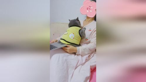 是辆赶不走的小卡车啊
