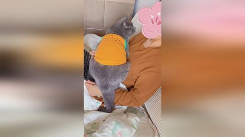 喂！妖妖零吗？这有一辆小卡车违规停车