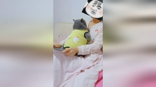 不不不我不需要抱抱