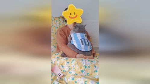 小面包车停在我怀里不肯走怎么办