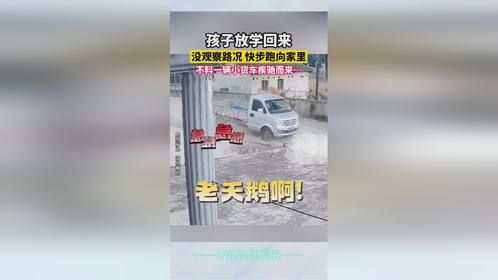 孩子放学回来，没观察路况 快步跑向家里，不料一辆小货车疾驰而来…