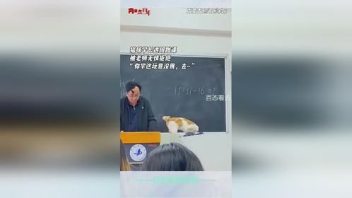 猫咪学长进班蹭课被老师无情拒绝 “你学这玩意没用，去~”