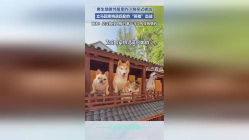 见过狗仗人势的，第一次见人仗狗势的！