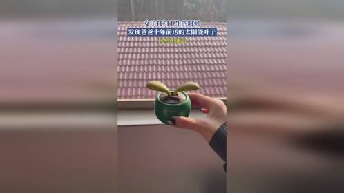 女子打扫卫生的时候，发现爸爸十年前送的太阳能叶子，居然还能动