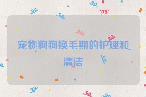 宠物狗狗换毛期的护理和清洁
