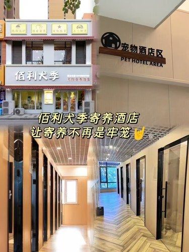 简直是每个养宠人的福音[比心]