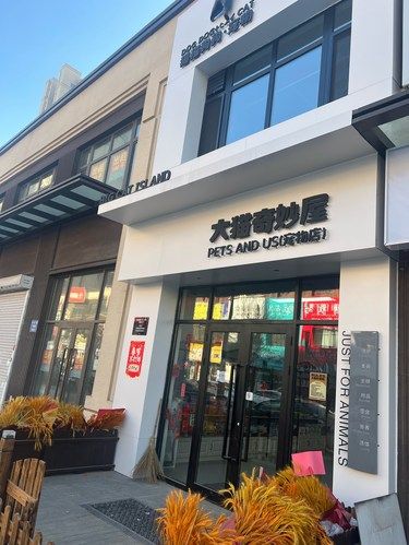 养宠物的主人看过来，沈阳发现一家不错的宠物店