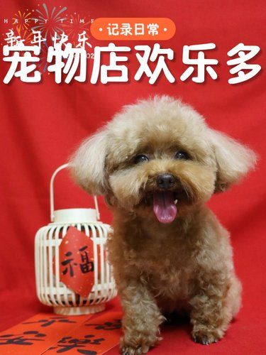 洗澡给拍的新年照片[色]