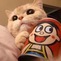 https://p1.meituan.net/userheadpicbackend/c328decf40d436134678f9d47cb305c7126685.jpg%40120w_120h_1e_1c_1l%7Cwatermark%3D0