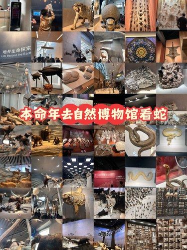 真的巨巨巨害怕……蛇！